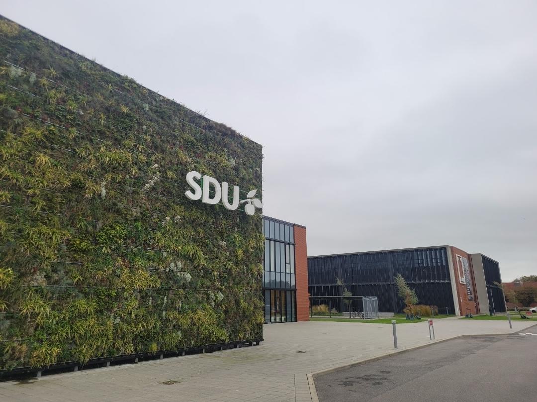 SDU